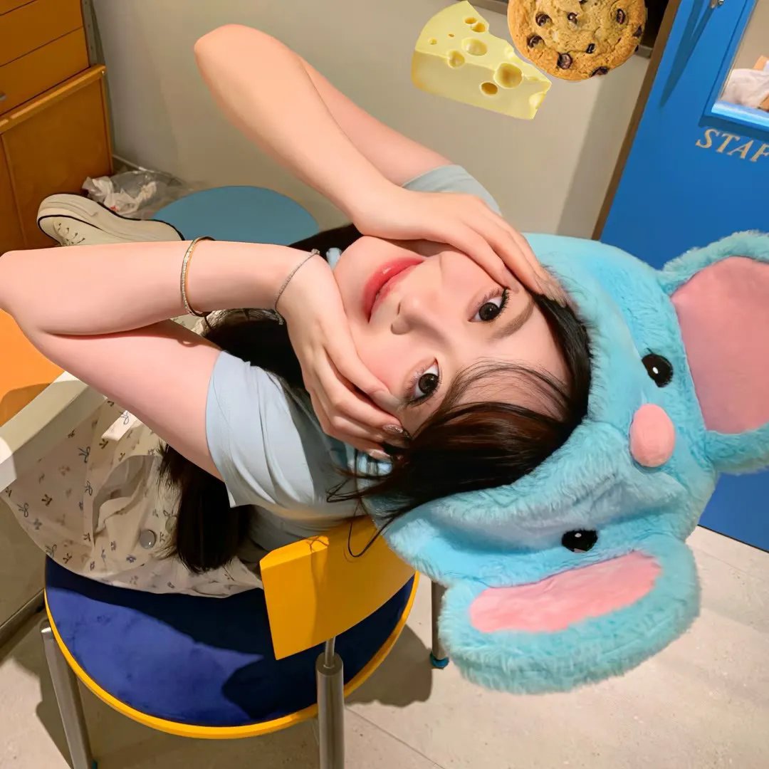 蒂科与鲨鱼